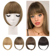 SEIKEA Bangs Hair Clip in Bangs Hair Extensions Thick Natural Neat Bangs Straight Fringe Bang with Temples Fake Hairpiece - Ash Blonde with Golden Blonde