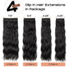 SEIKEA 24" 4PCS Set Clip in Hair Extensions